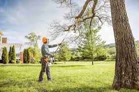 Best Tree Preservation Services  in Crystal Lake, IL